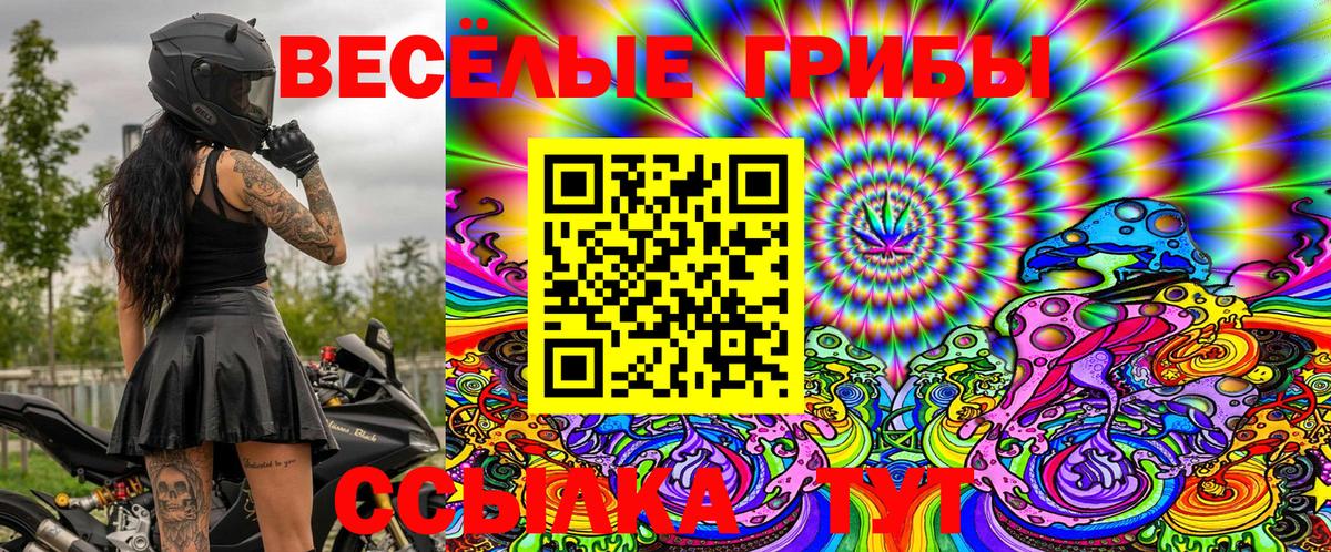 Галлюциногенные грибы Magic Shrooms Дмитров